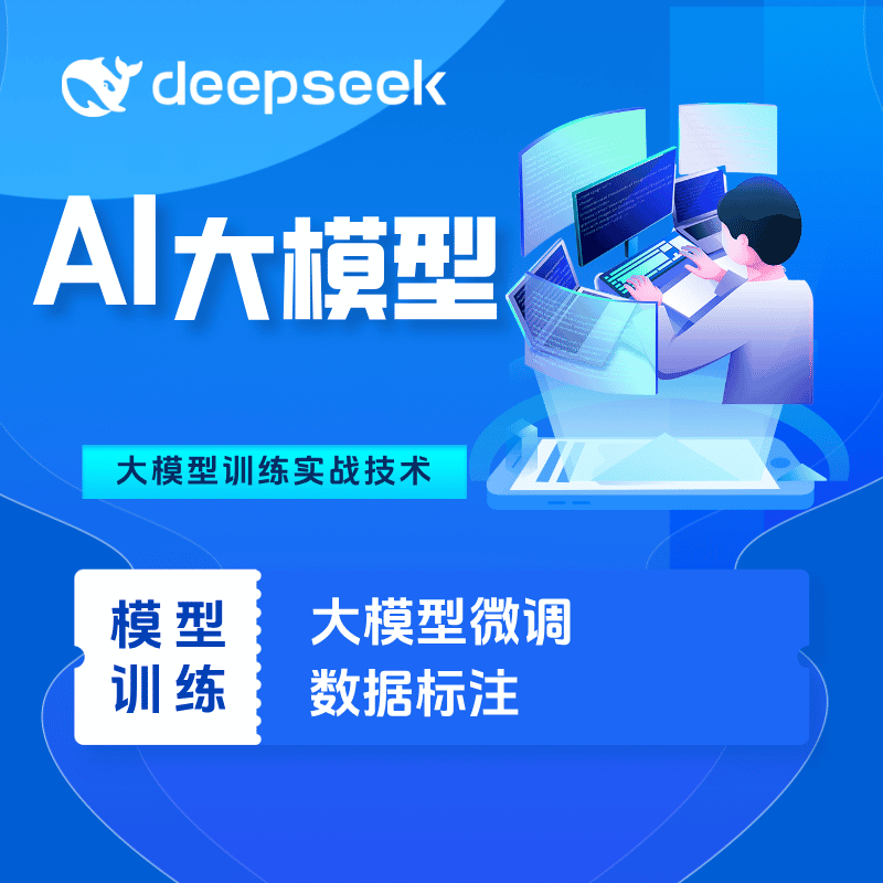 DeepSeekAI大模型训练/数据标注