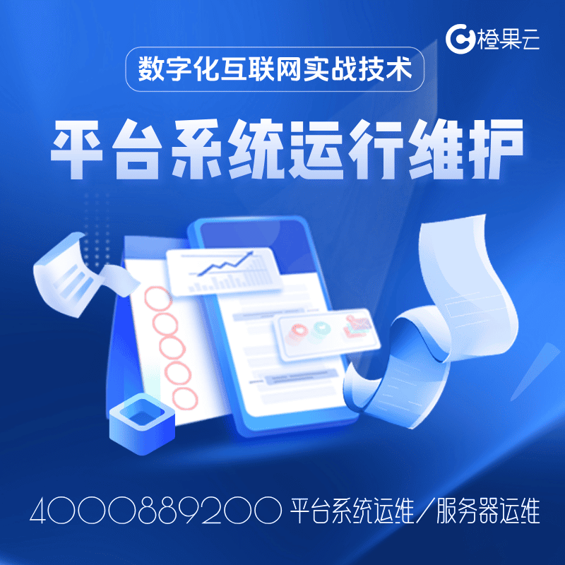 系统平台运行维护/系统运维/平台运维/运维服务/安全防护/系统升级
